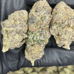 Gorilla Glue