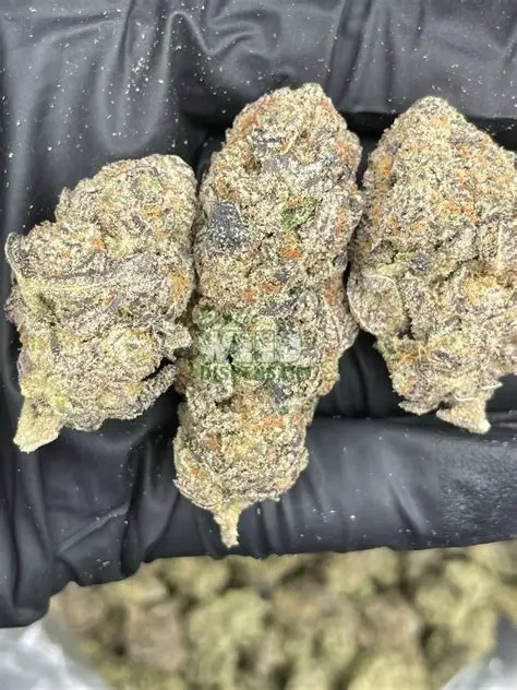 Gorilla Glue