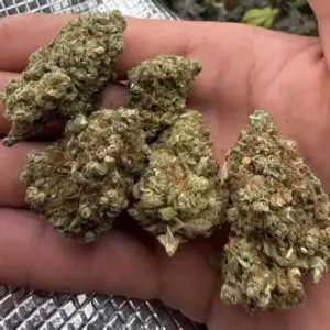 Sour Diesel