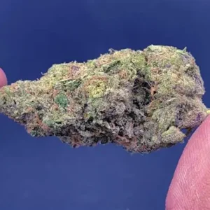Blue Dream
