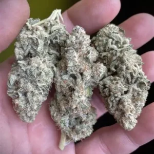 Runtz OG Cannabis