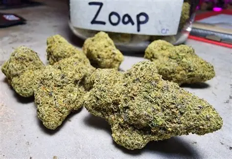 Zoap Weed
