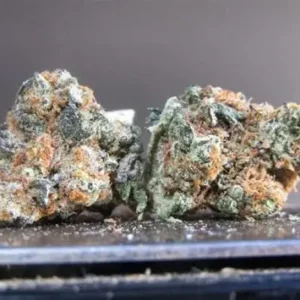 Biscotti