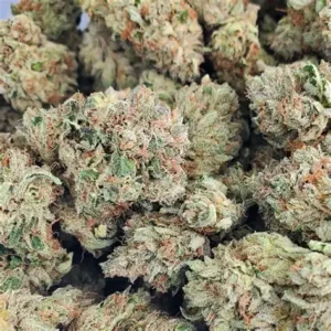 Death Star Strain