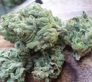 Chemdawg Weed Strain