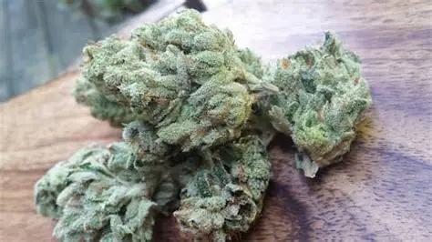 Chemdawg Weed Strain