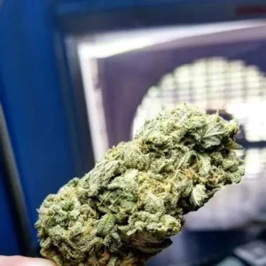 Pineapple Express weed Strain