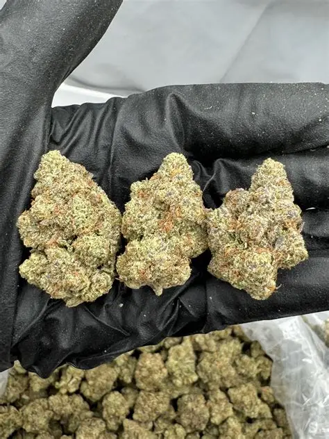 Strawberry Cough