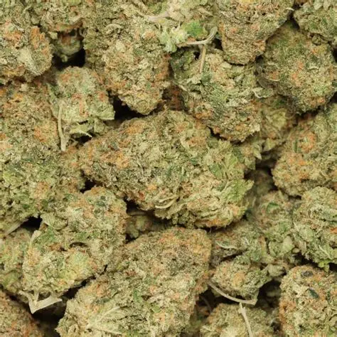 Forbidden Fruit